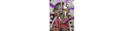 நாகை நீலதயாட்சி - தமிழ்நாடு